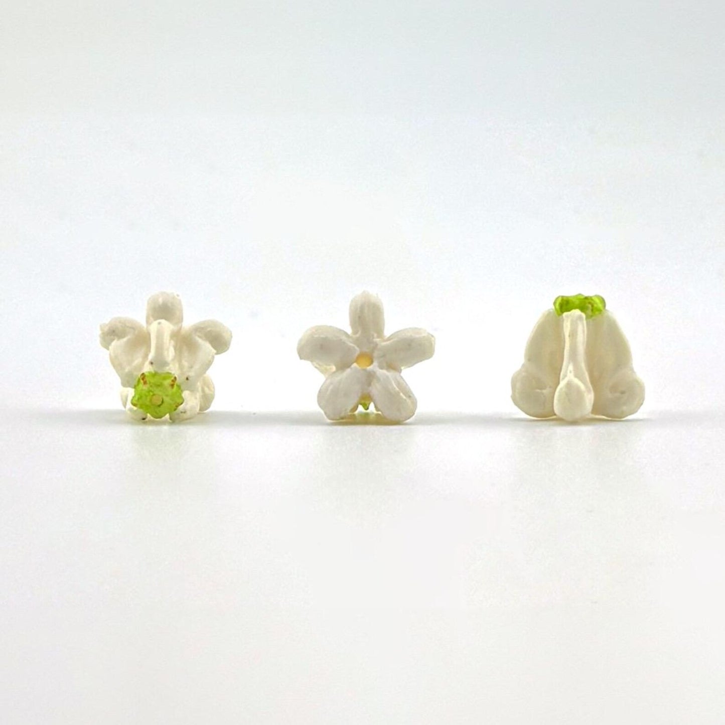Clay Crown Flower – White