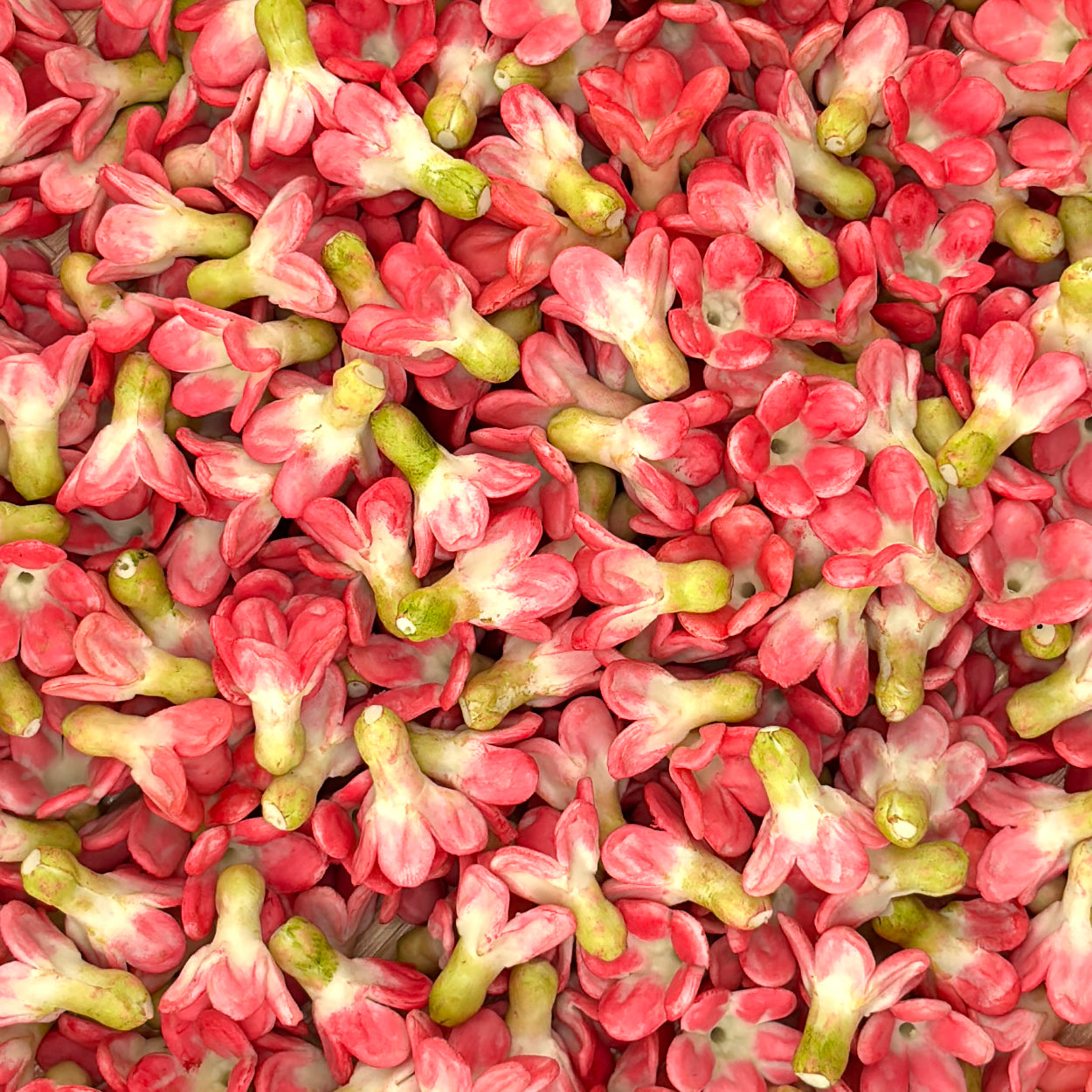 Clay Pakalana Flower – Pink & Green Two-Tone
