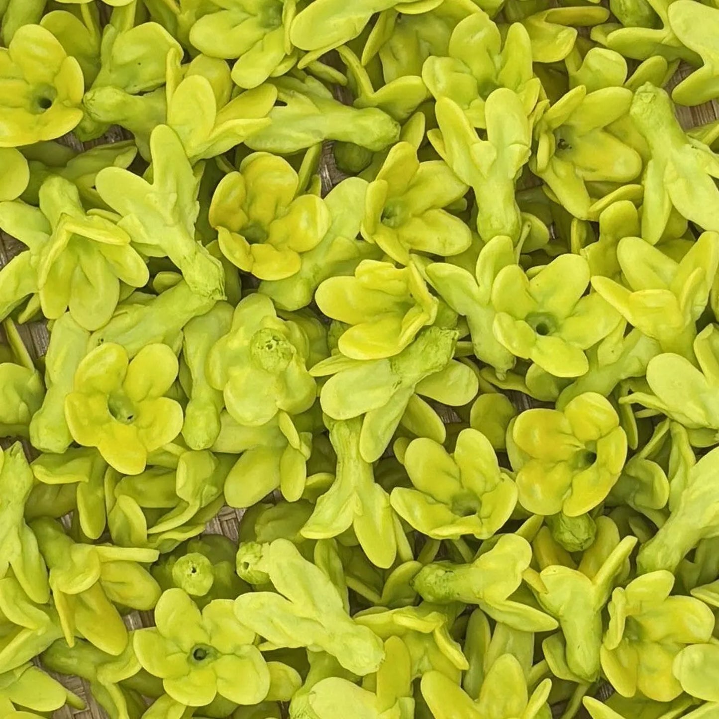 Clay Pakalana Flower – Yellow & Green Two-Tone
