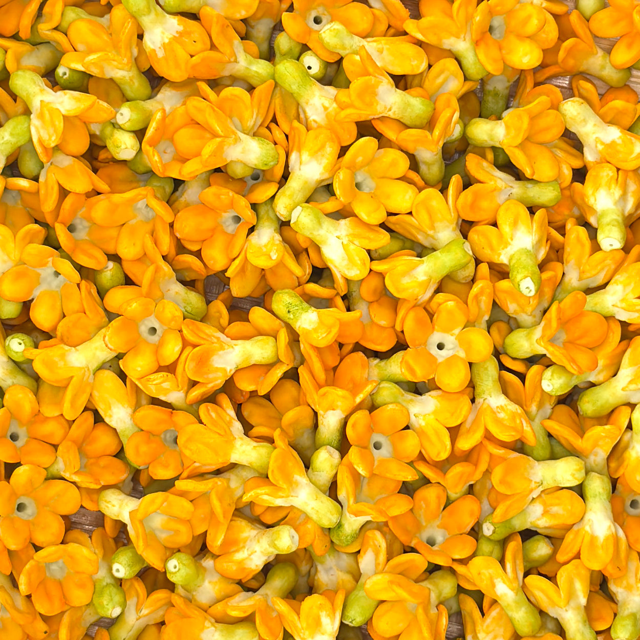 Clay Pakalana Flower – Orange & Green Two-Tone