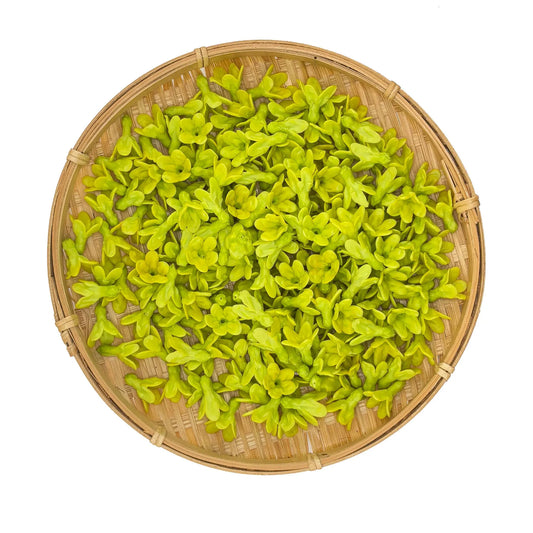 Clay Pakalana Flower – Yellow & Green Two-Tone